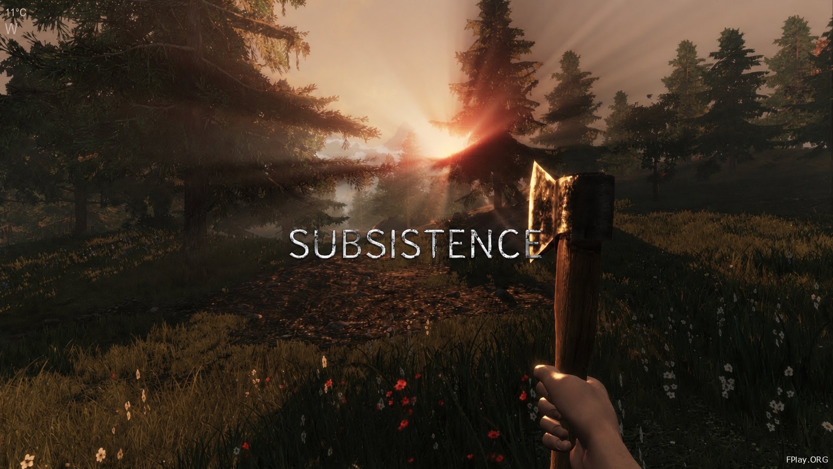 Subsistence